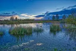 The man-made lakes at Lakeside Park