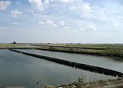 The marshes towards Bourgneuf-en-Retz.
