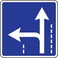 Driving direction in the lane (proceed straight or keep left)