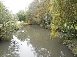 Bourillon river at Marcilly-en-Villette