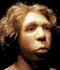 Le Moustier Neanderthal skull reconstitution, Neues Museum Berlin[27]