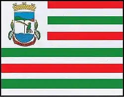 Flags of the city of Liberato Salzano, Rio Grande do Sul, Brazil