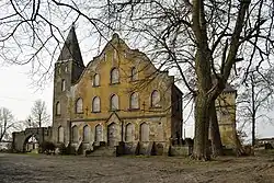 Ruins of Lisowo Palace