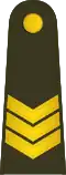 Vyresnysis seržantas (Lithuanian Land Force)[23]