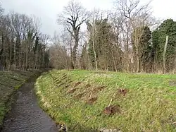 Lober southwest of the Delitzsch city park in March 2023