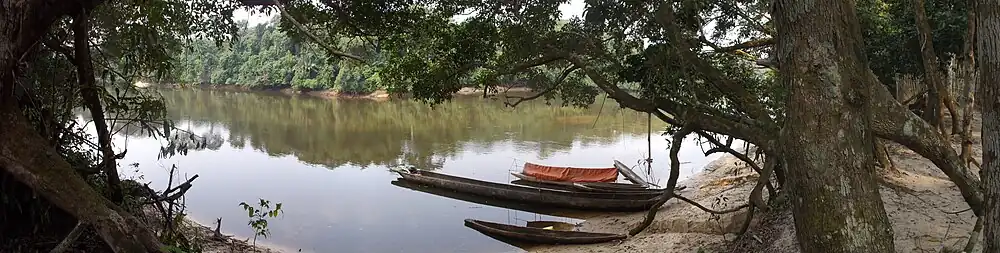 Lomami River at Katopa Camp, Democratic Republic of the Congo.