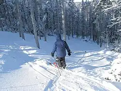 Entering the lower part of the Intimidator Glades.