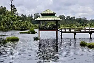 Gazebo surrounded by Lepironia articulata