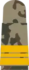 gold-yellow emblem on 3-colour-flecktarn – Marine (Kapitänleutnant)