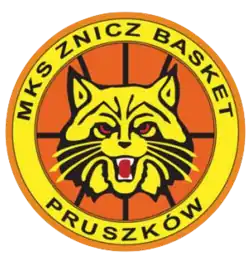 Znicz Pruszków logo