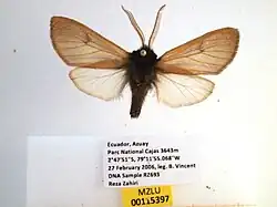 Species specimen