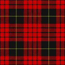 A tartan pattern with a red background, thick black stripes, and thin yellow stripes.