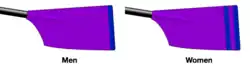 Image showing the rowing club's blade colours