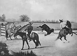 Executing the mangana.