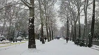 Mellat Park in winter