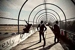 Inside The Trojan Horse 2024.