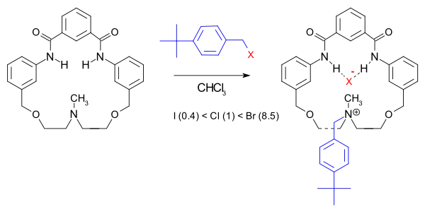 Accelerated reaction.[4]