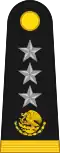 General de división (Mexican Army)[22]