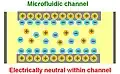 Microfluidic channel, electrically neutral inside the channel[18]