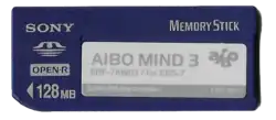 The MIND 3 memory stick.