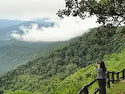 Viewpoint of Phu Ruea National Park