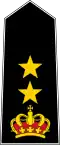 Lieutenant Colonel