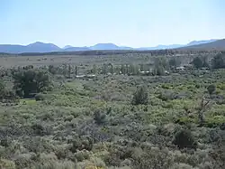 Mono City from a distance