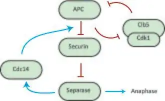 Dosage-response curves