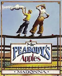 Book cover showing Mr. Peabody and Tommy Tittlebottom at the top of the bleachers.