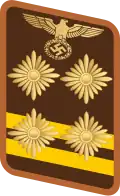 Gorget patch for Hauptgemeinschaftsleiter
