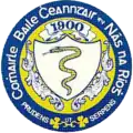 Official seal of Naas