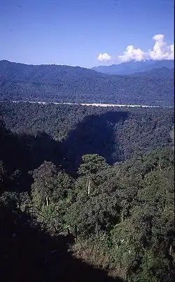 Canopy cover of Namdapha National Park