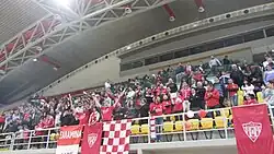 Nea Salamina Famagusta VC fans at Spyros Kyprianou Athletic Center, celebrating Cyprus Volleyball Division 1 2012-2013