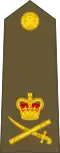Lieutenant-general[38] (New Zealand Army)