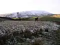 Pendle from Cross Lane in winter