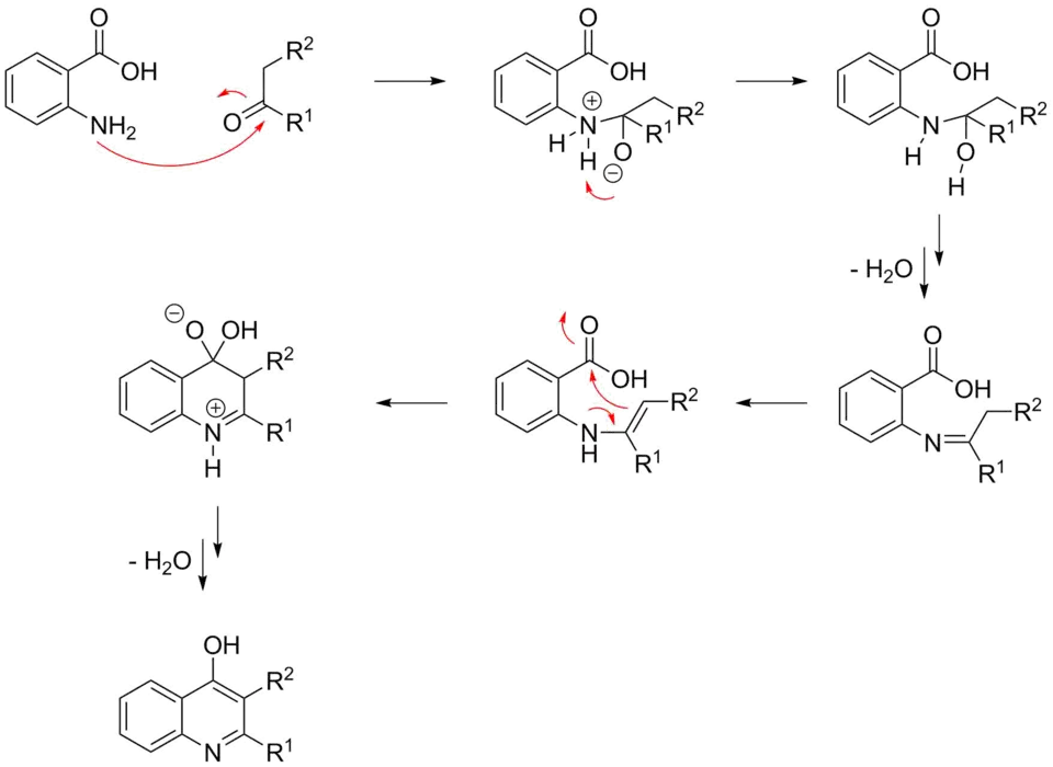 A possible mechanism of the Niementowski quinoline synthesis.