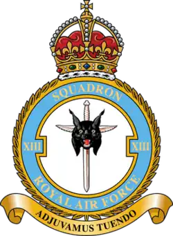 Squadron badge
