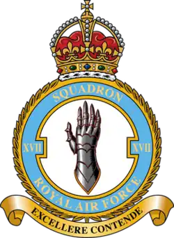 Squadron badge