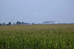 Fields east of Hoytville