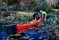 Wood-and-canvas canoe being lifted over a beaver dam near&nbsp;Manitowish Waters