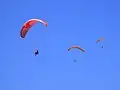 Several kites in free flight; paraglider kites can remain kiting in thermal and slope updrafts for hours.