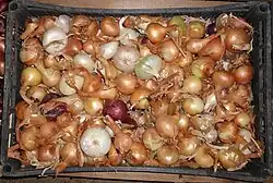 Produce may be packaged for transport in a plastic crate.