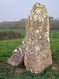 Burial chamber (remains of), Murtry Hill, Orchardleigh Park