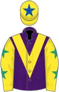 Purple, yellow chevron, yellow sleeves, emerald green stars, yellow cap, royal blue star
