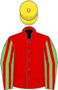 Red, light green and red striped sleeves, yellow cap