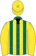Dark green and yellow stripes, yellow sleeves and cap