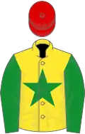 Yellow, green star and sleeves, red cap