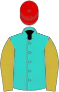 Turquoise, old gold sleeves, red cap