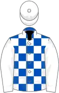 Royal blue and white check, white sleeves and cap