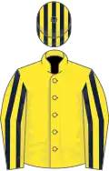 Yellow, dark blue striped sleeves and cap